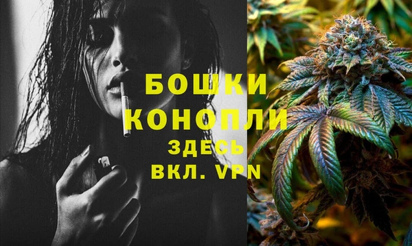дживик Волоколамск